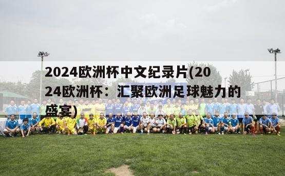 2024欧洲杯中文纪录片(2024欧洲杯：汇聚欧洲足球魅力的盛宴)